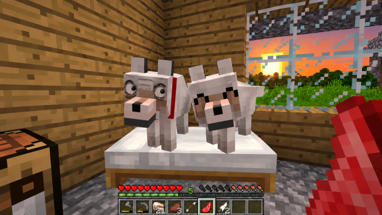 What is Something is Wrong With My Dog?